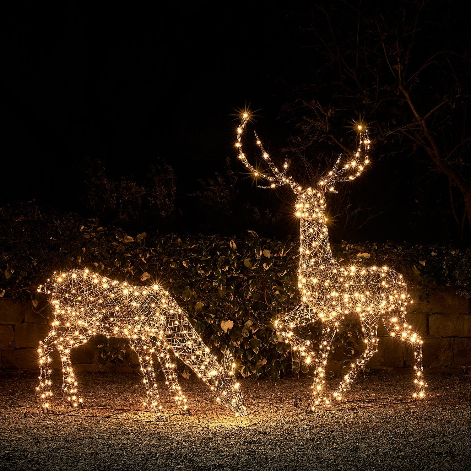 Illuminated reindeer duo christmas decor outlet