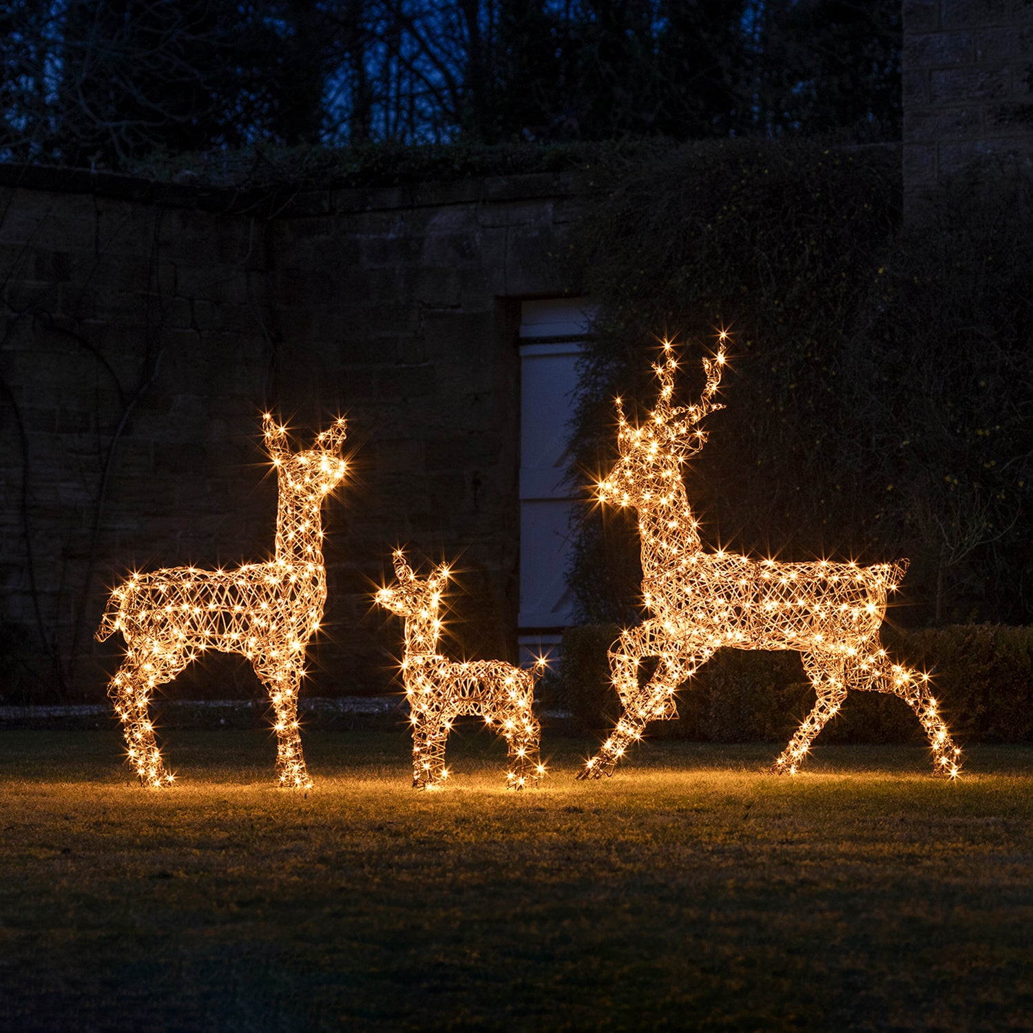 Christmas reindeer shop lights