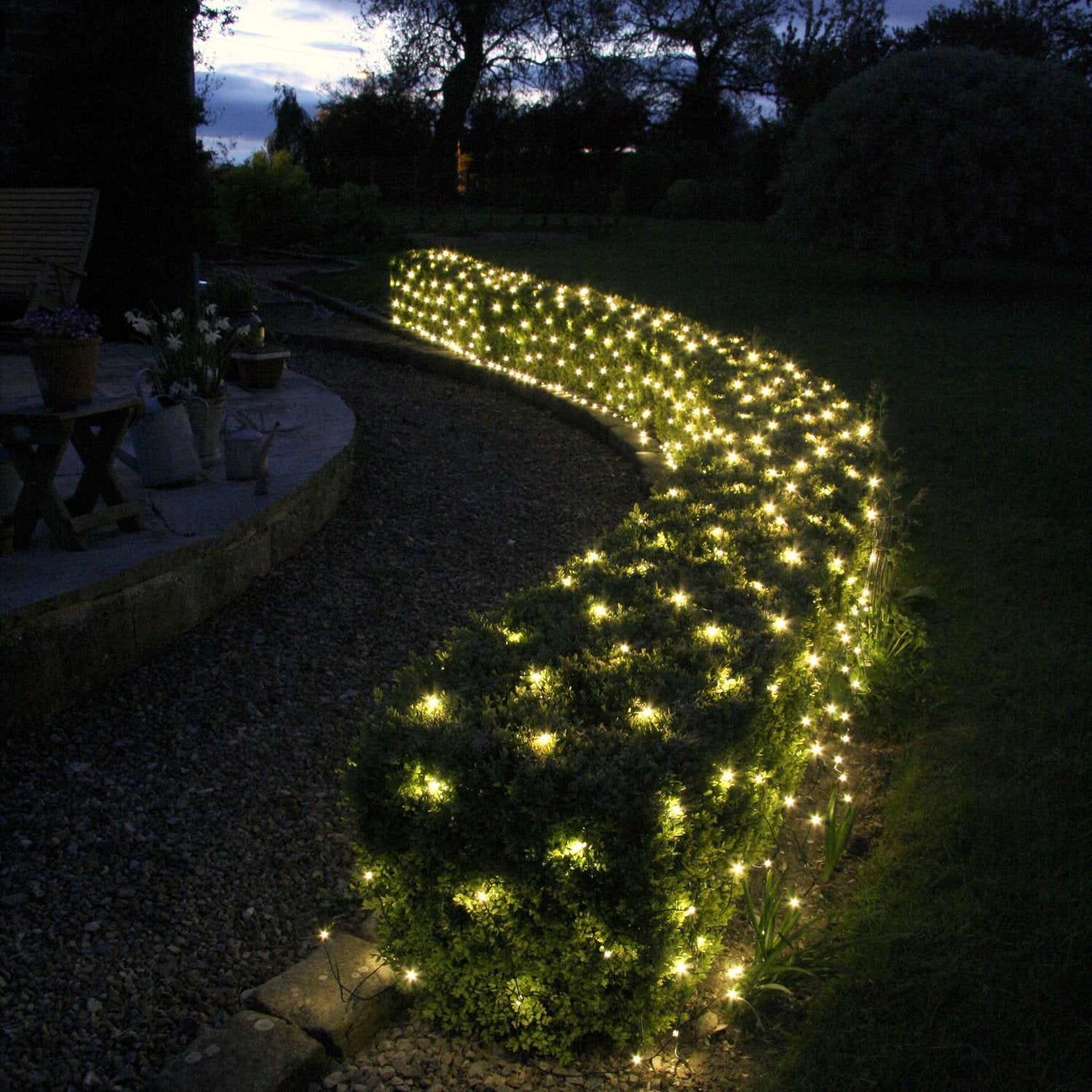 Outdoor christmas lights for shop hedges