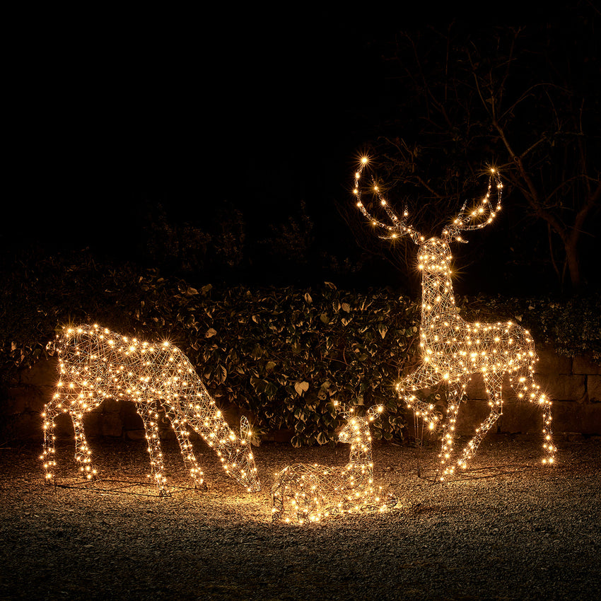 Studley Light Up Reindeer Collection