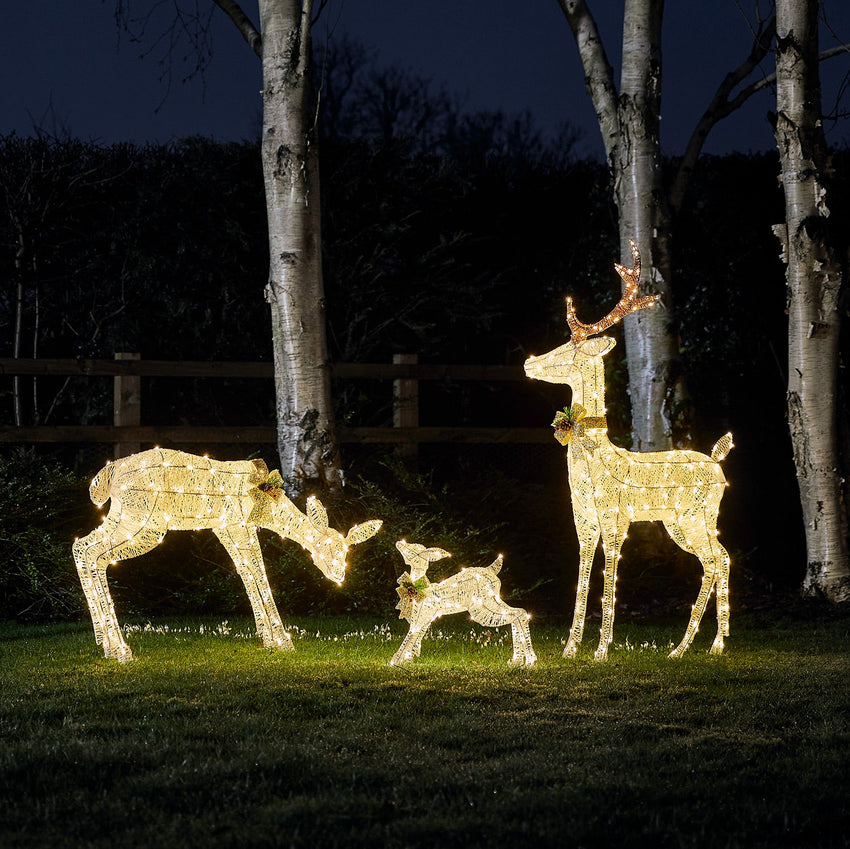 Harewood Light Up Reindeer Collection