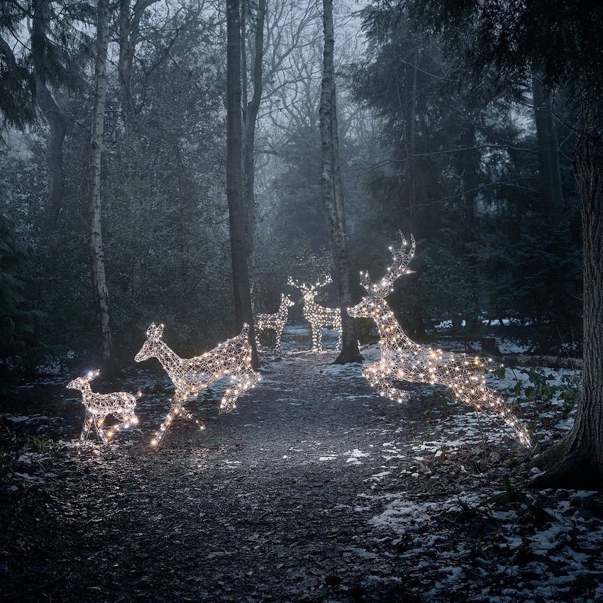 Harlow Light Up Reindeer Collection