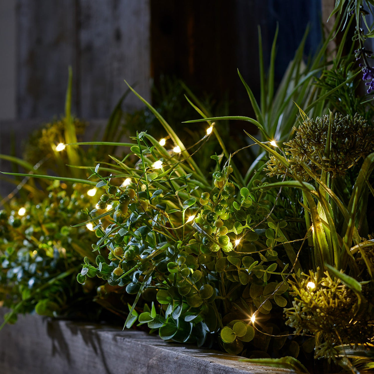 100-Warm-White-Outdoor-Micro-Fairy-Lights-Greenery-Plant-Box-Illuminated.jpg