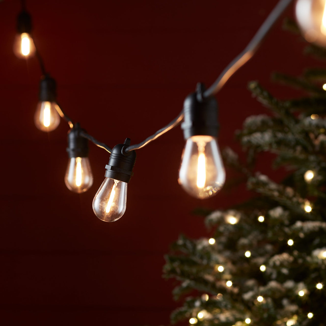 BL19001_Ultimate-Flex-Connectable-Festoon-Lights-Warm-White-Winter.jpg