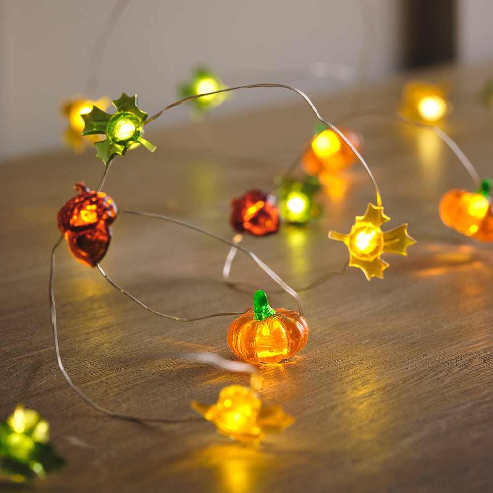 30 Autumnal Micro LED String Lights