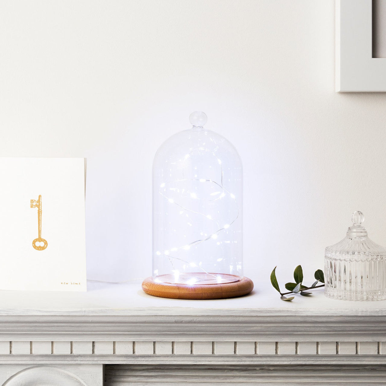 C20-W_White-LED-Micro-Wire-Battery-Fairy-Lights-bell-jar-mantelpiece_P2.jpg