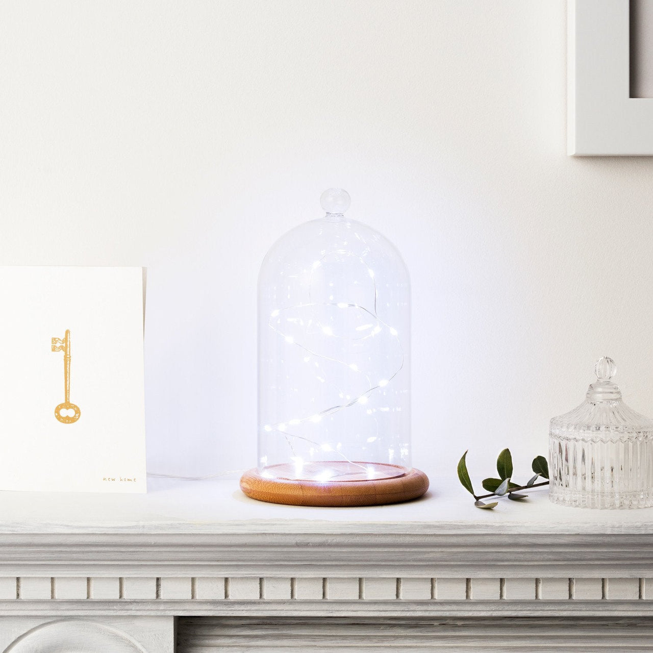 C20-W_White-LED-Micro-Wire-Battery-Fairy-Lights-bell-jar-mantelpiece_P2_2000x2000_2cbe55e6-b8e2-4b3d-87db-9e14b4af540e.jpg