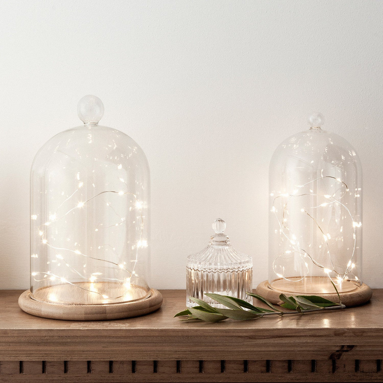 C20-YW_Micro-LED-fairy-lights-with-glass-dome-bell-jars_P3.jpg