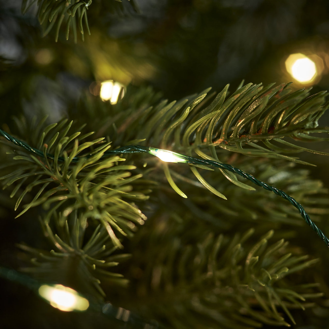 C300YWG_300-Warm-White-LED-Micro-Chritmas-Tree-Lights-Green-Cable-Close-Up.jpg