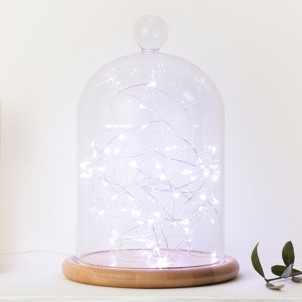 C50-W_White-Micro-Lights-Battery-Wire-Fairy-Lights-bell-jar-mantelipiece-close-up_P1.jpg