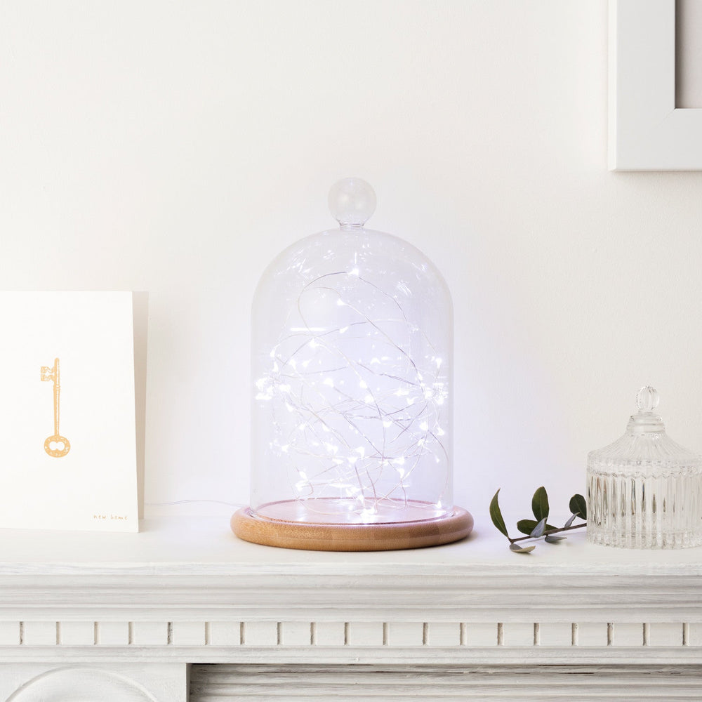 C50-W_White-Micro-Lights-Battery-Wire-Fairy-Lights-bell-jar_P2.jpg