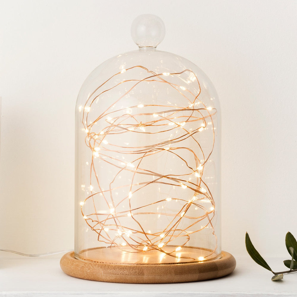 C50-YWCO_50-copper-wire-micro-battery-lights-bell-jar-glass-dome-mantelpiece-close_P1.jpg