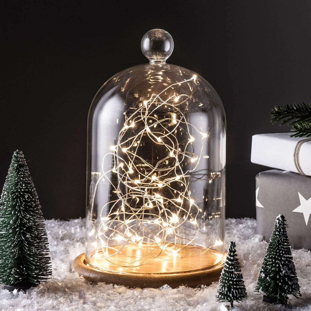 C50-YW_Large-Glass-Dome-Jar-Christmas-Micro-Lights_P2.jpg