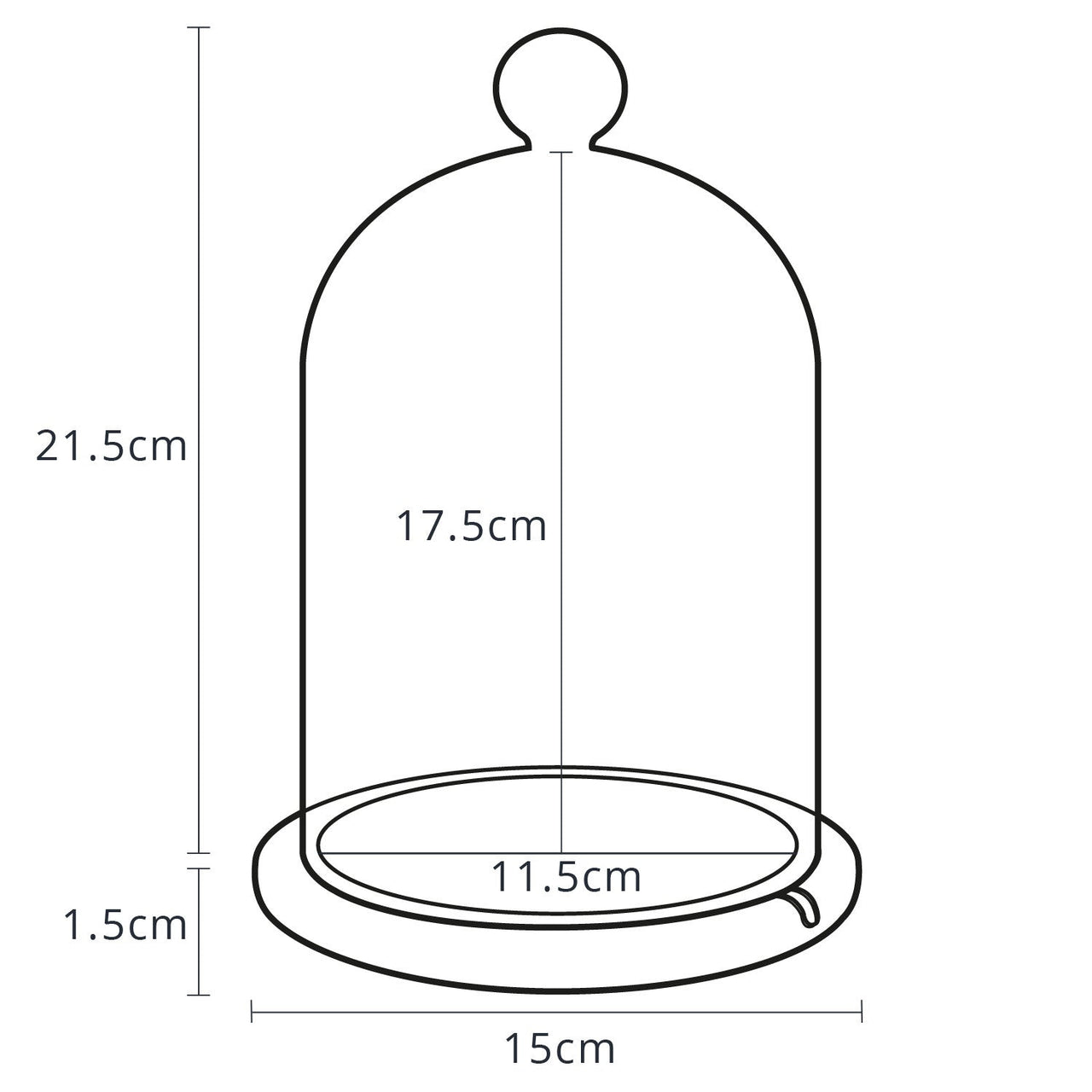 D-DOME-MICROYW_Dimensions-Large-Glass-Dome-Bell-Jar-Cloche-Bundle_P8.jpg