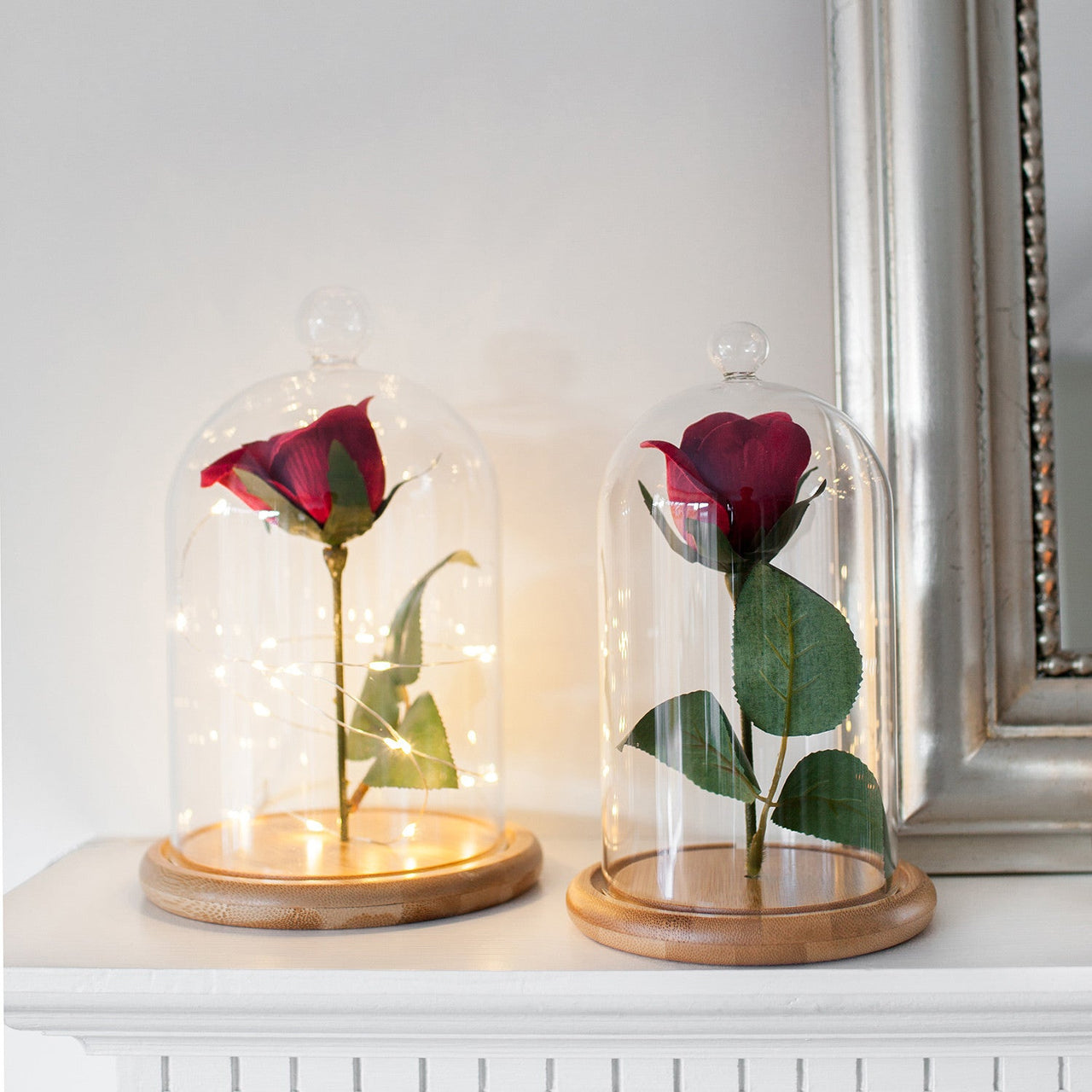 D-DOME-MICROYW_Glass-Dome-Bell-Jars-Beauty-And-The-Beast-Enchanted-Rose_P4.jpg