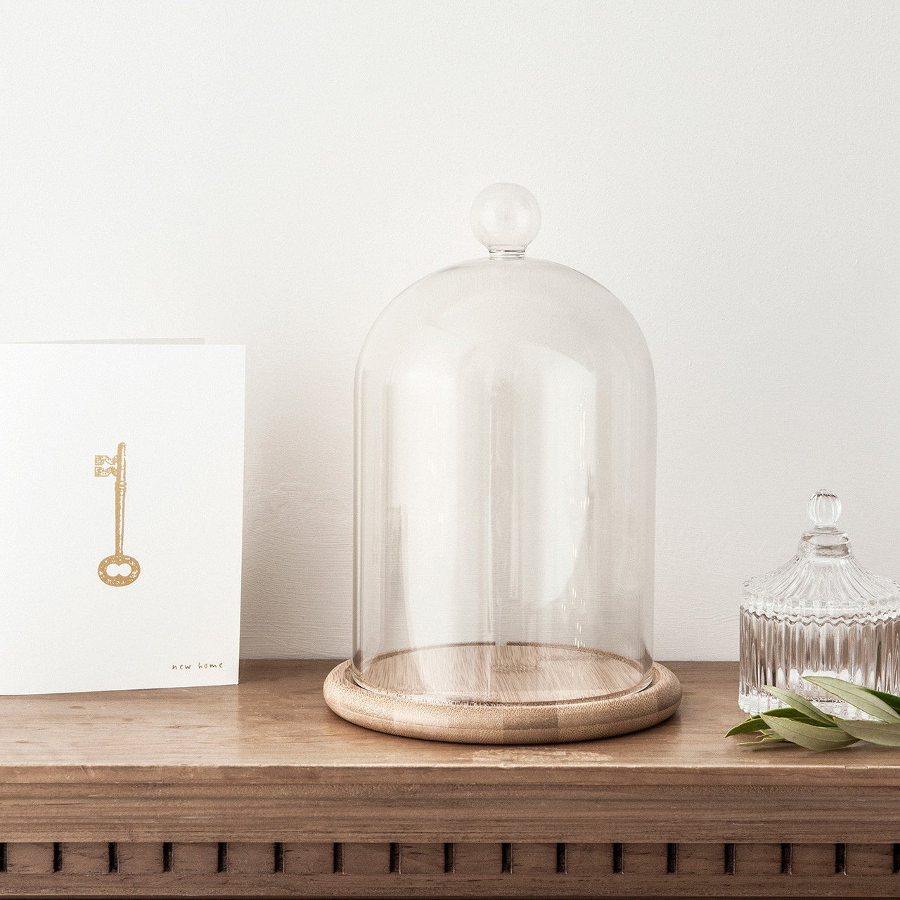 D-DOME-MICROYW_large-bell-jar-dome-mantelpiece-glass-cloche_P3.jpg