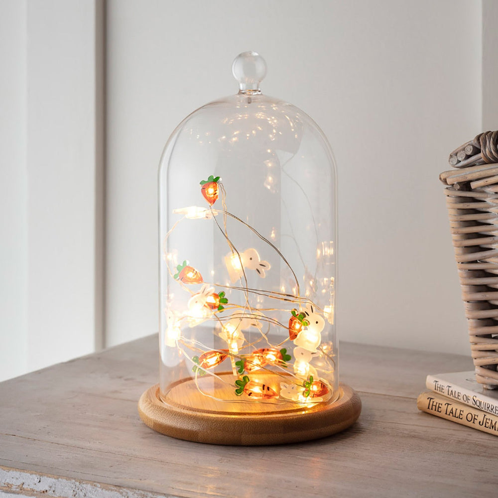 D-DOMEBUNNY_20-Bunny-And-Carrot-Micro-Fairy-Lights-Bell-Jar-Bundle_P1.jpg