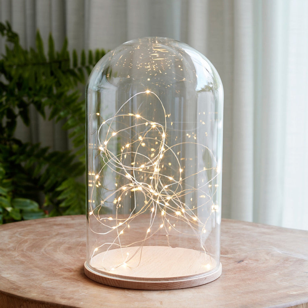 D-MINIMAL2_minimal-tall-glass-dome-micro-fairy-lights_P1.jpg