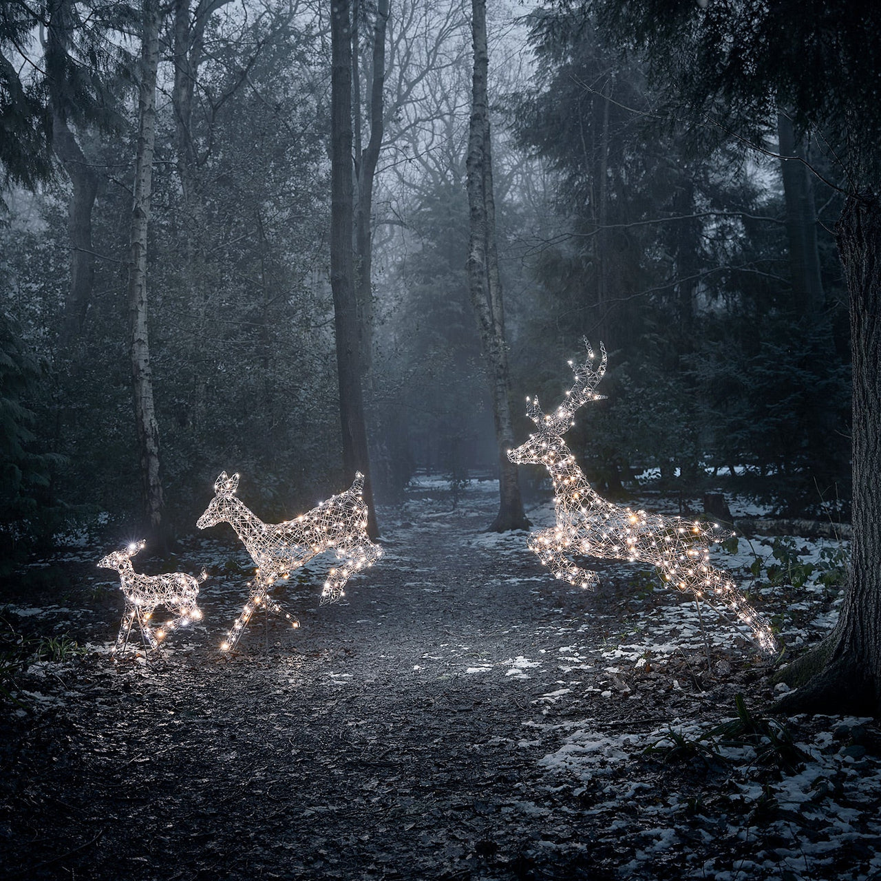 D-XX21023_Harlow-Rattan-3in1-Light-Up-Reindeer-Family-Forest_9.jpg