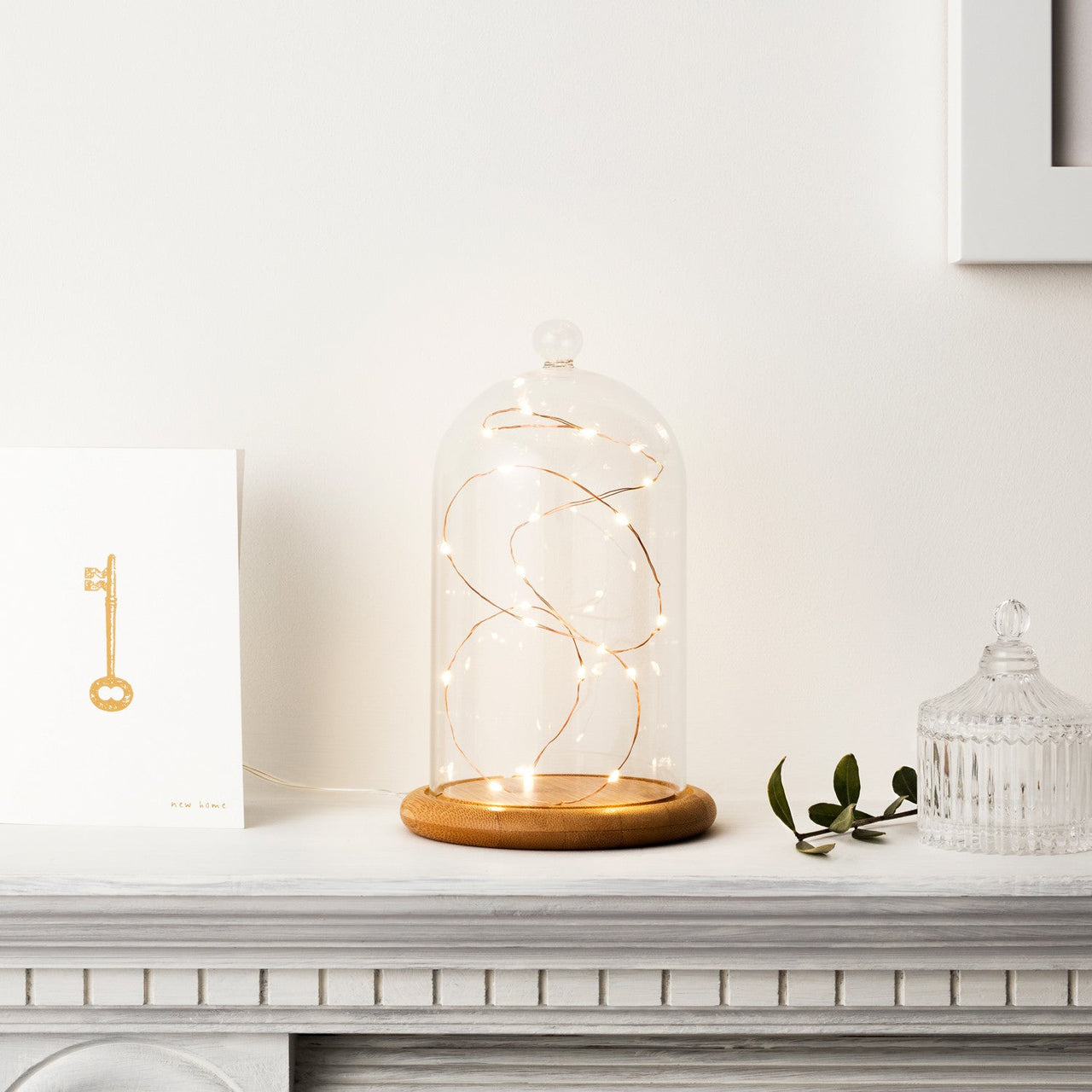 GDM15-1_Small-Glass-Dome-Bell-Jar-Mantelpiece-copper-wire_P2.jpg