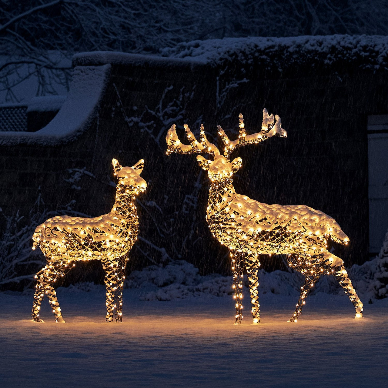 Harlow-Large-Rattan-Reindeer-Figures-Warm-White-Snow-Set-Of-Two_a6095541-80d1-4a88-95fb-1cde1c1ed567.jpg