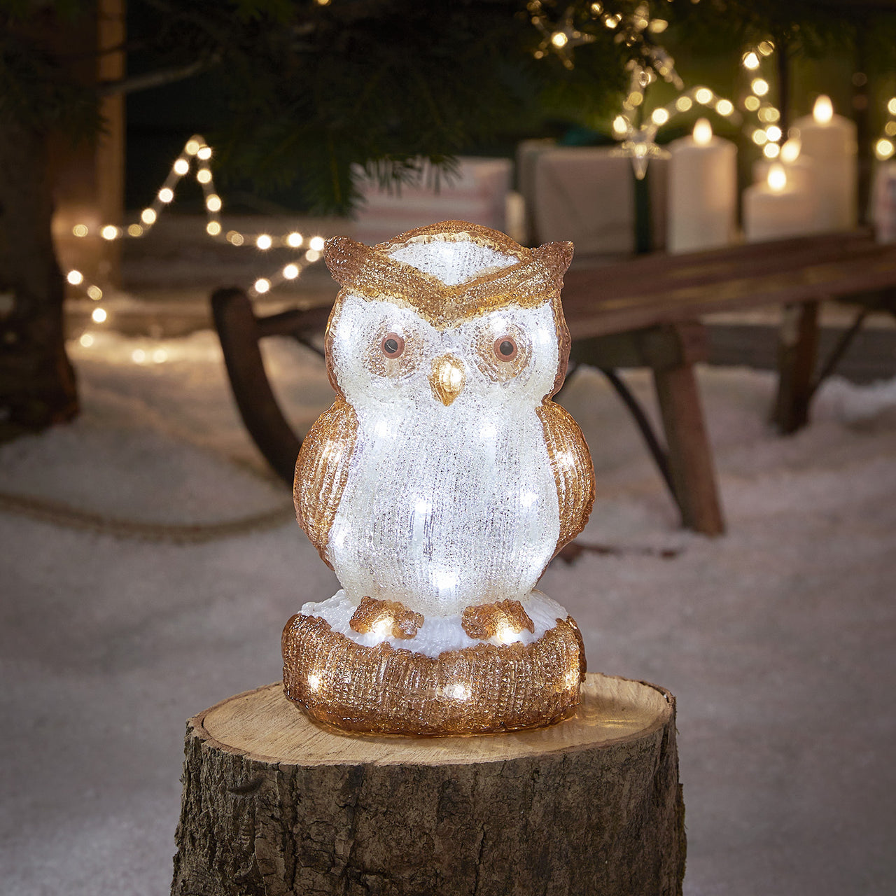 Oscar the Owl LED 3D Acrylic Figure