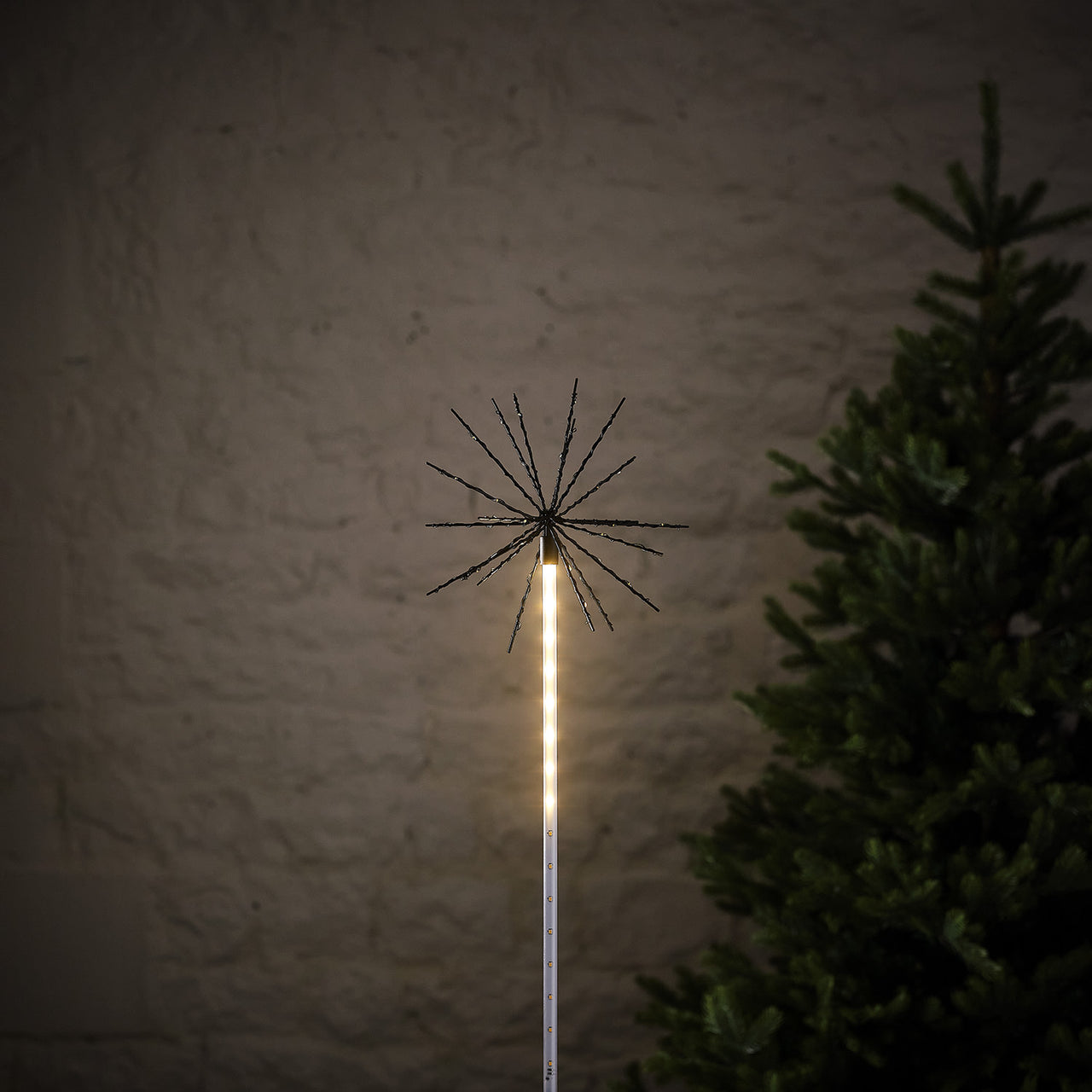 Shooting Starburst Stake Light