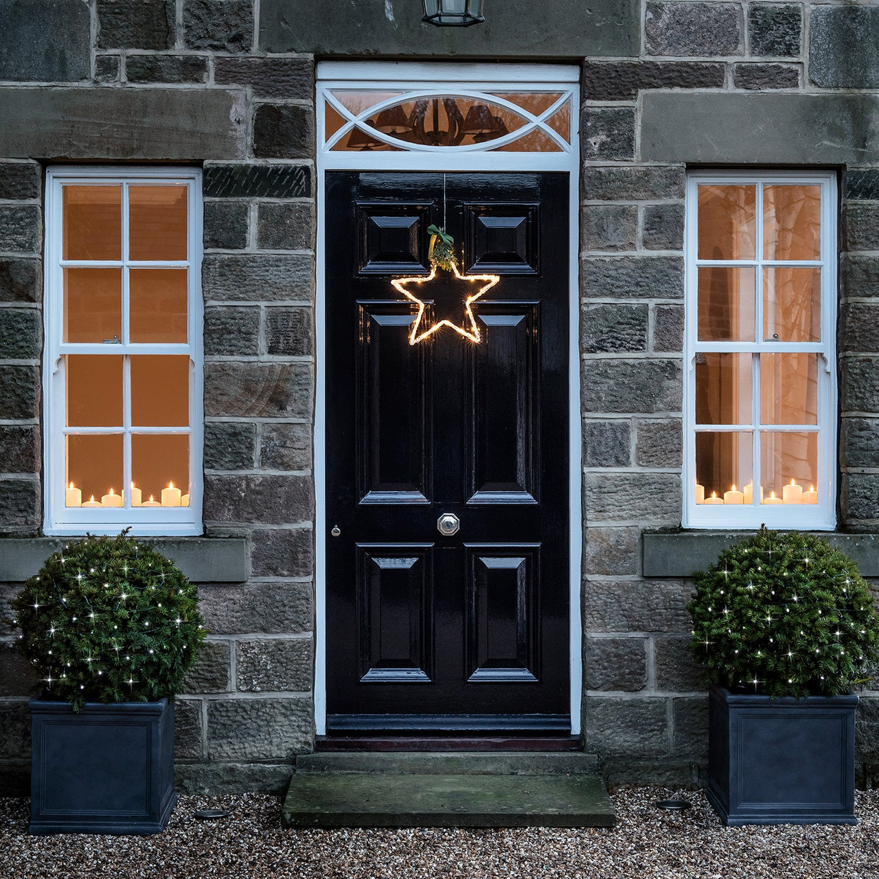 LL100W_100-White-LED-Battery-Fairy-Lights-Hedge-Plant-Front-Door_P6.jpg