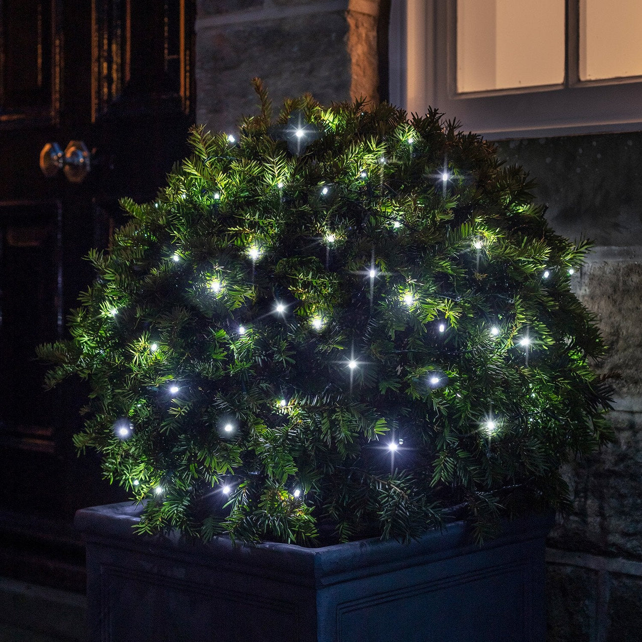 LL100W_100-White-LED-Fairy-Lights-Battery-Topiary-Bush-Ball_P1_2000x2000_cd46d24b-922d-491c-9365-e1e4e8cb8c26.jpg