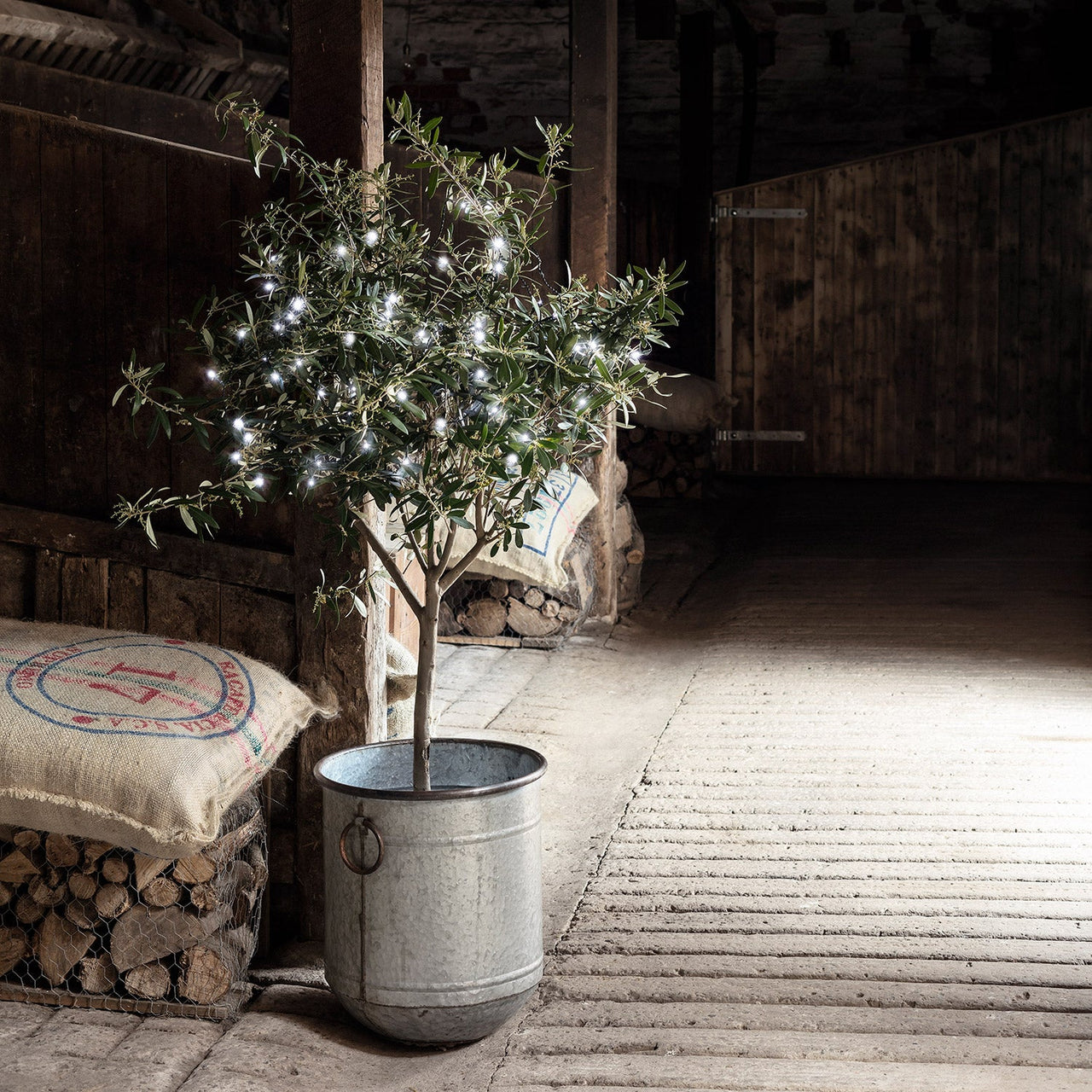 LL100W_White-Outdoor-LED-Battery-Lights-olive-tree-barn_P1.jpg