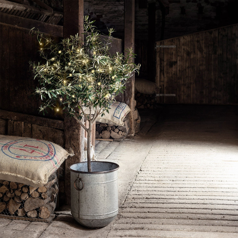 LL100YW_100-LED-Warm-White-Outdoor-Battery-Lights-olive-tree-barn_P3.jpg