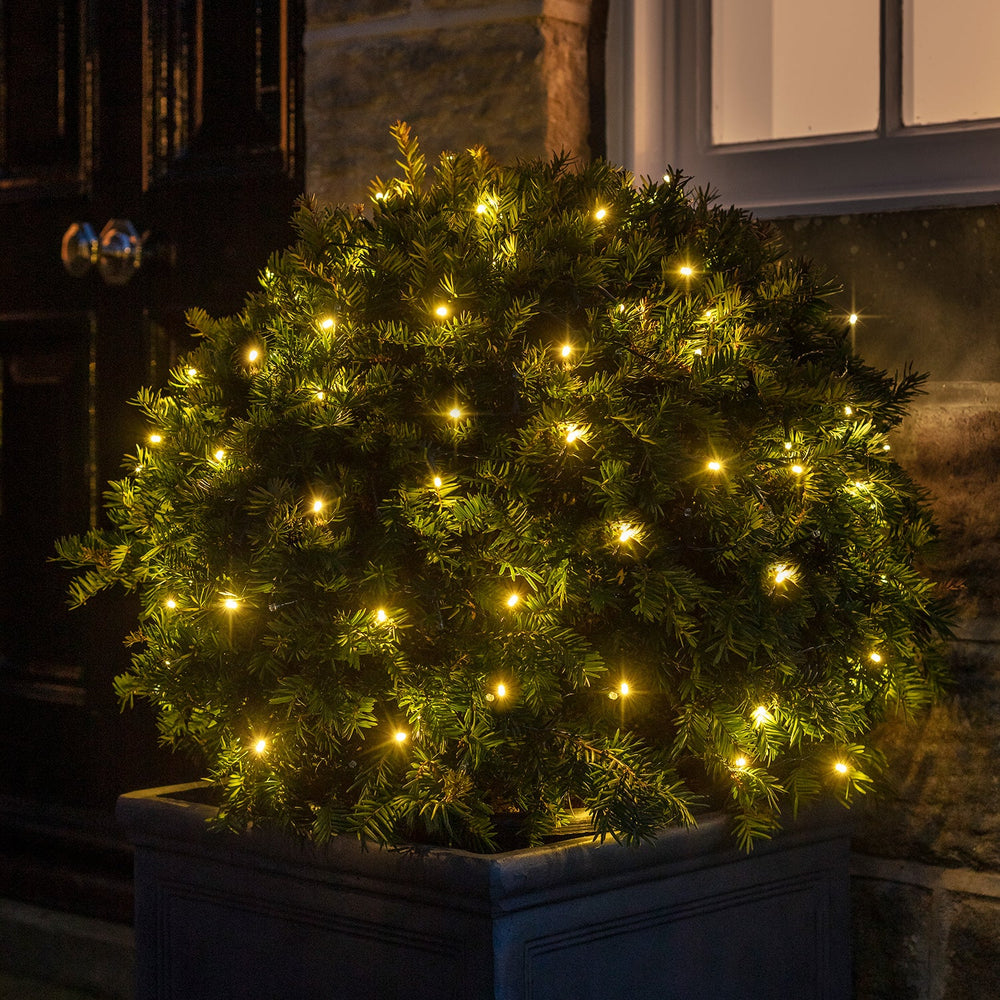 LL100YW_100-Warm-White-LED-Fairy-Lights-Battery-Topiary-Bush-Ball-1_P2.jpg