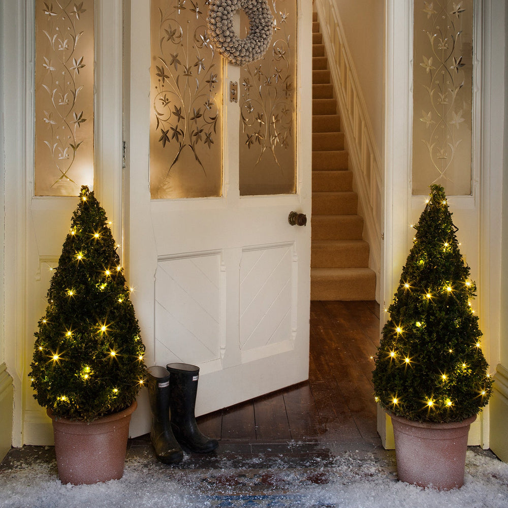 LL100YW_Warm-White-Battery-Fairy-Lights-Hedge-Christmas-Porch_P4.jpg