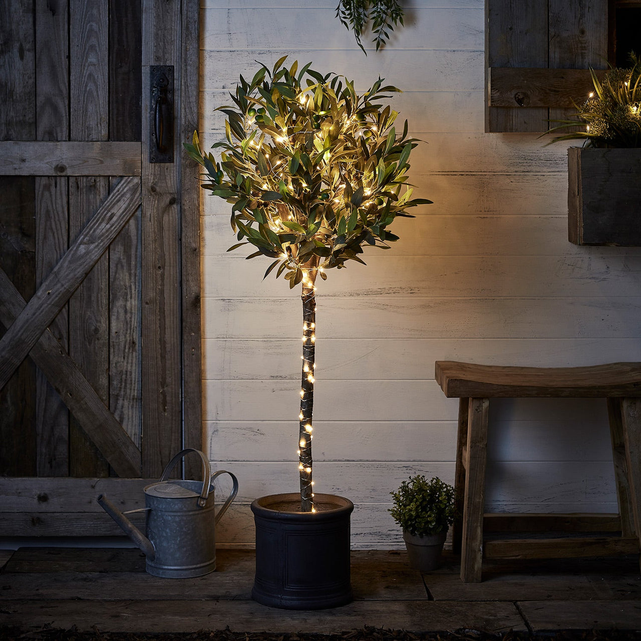 LL21046-LL21047_100-Warm-White-Outdoor-Micro-Fairy-Lights-On-Bay-Tree.jpg