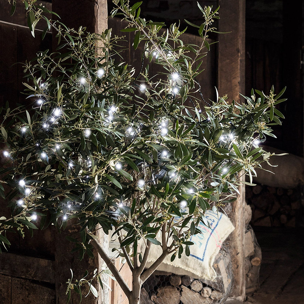 LL50W_White-Outdoor-Battery-Lights-olive-tree-barn-close_P1.jpg