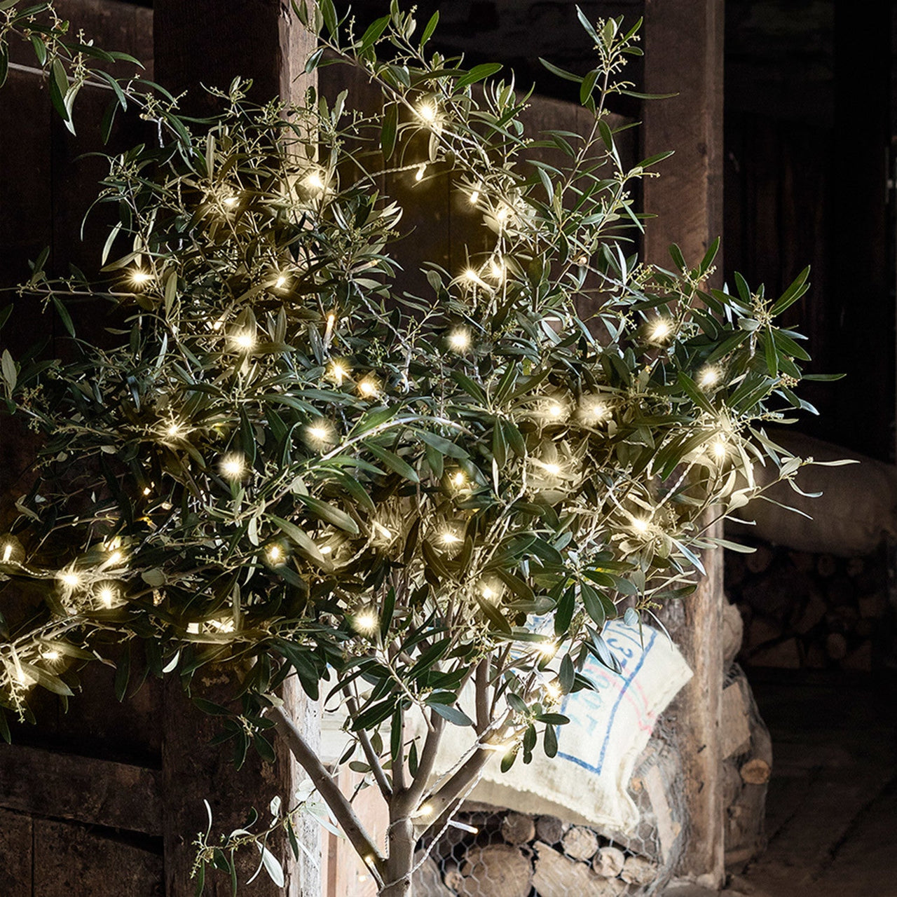 LL50YWC_50-Warm-White-Outdoor-Battery-Lights-olive-tree-barn-close_P1.jpg