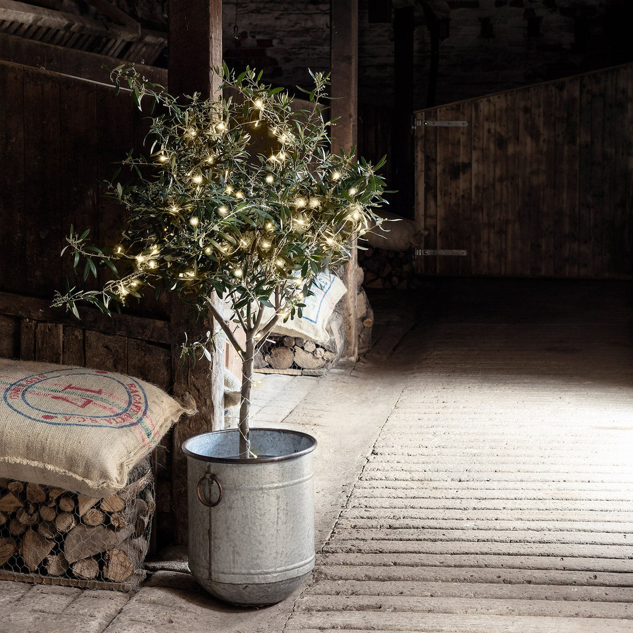 LL50YWC_50-Warm-White-Outdoor-Battery-Lights-olive-tree-barn_P2.jpg