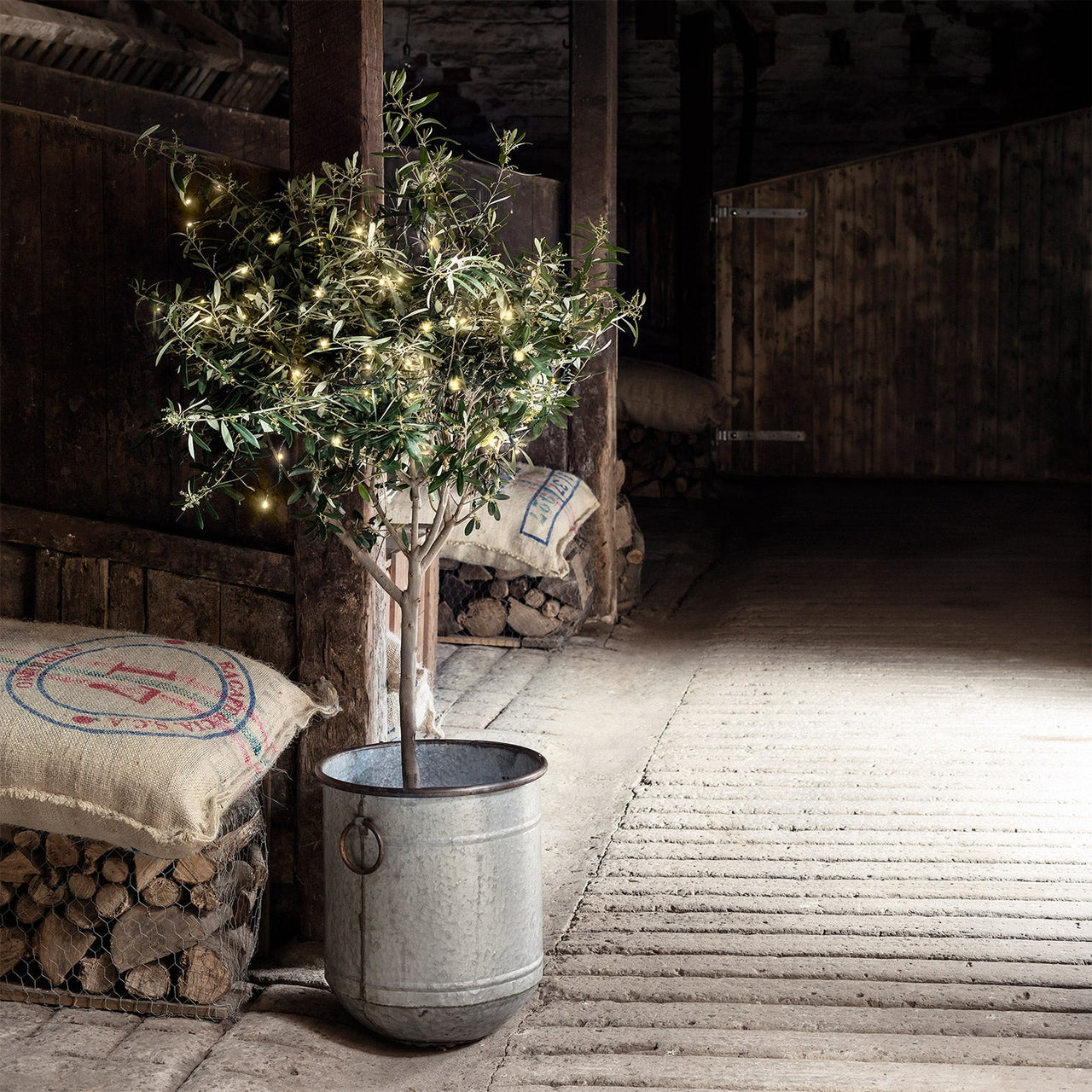 LL50YW_50-Warm-White-Outdoor-Battery-Lights-Olive-tree-barn_P3_d730f0b9-8afc-4c80-af44-5ce770aec654.jpg