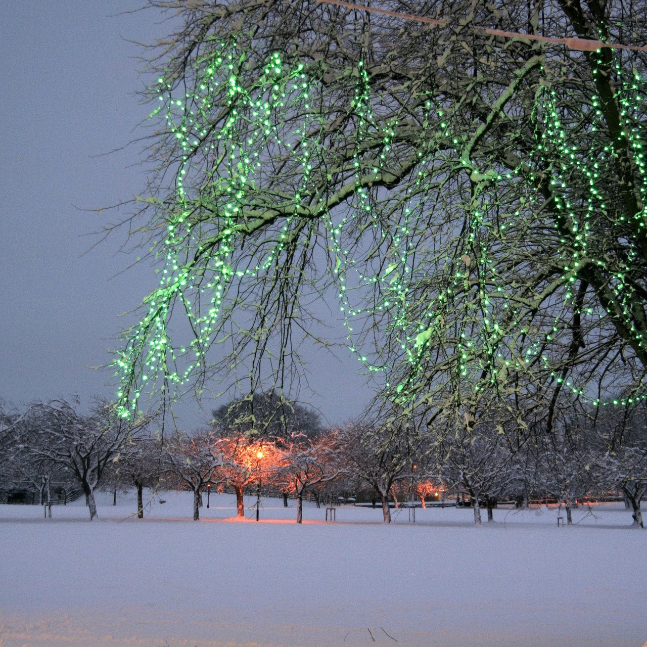 ML100GC_Green-LED-Connectable-Fairy-Lights-Christmas-Tree_P3_4e75aa4b-866a-4dbc-aac7-5dbc38e5ec1c.jpg