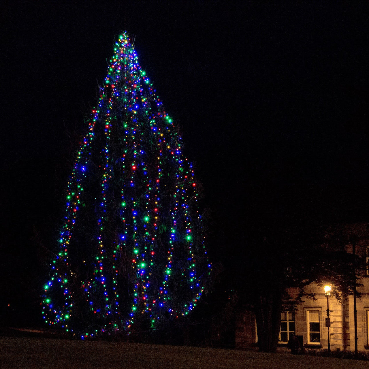 ML100MG_80-Multi-Coloured-LED-Fairy-Lights_P7.jpg