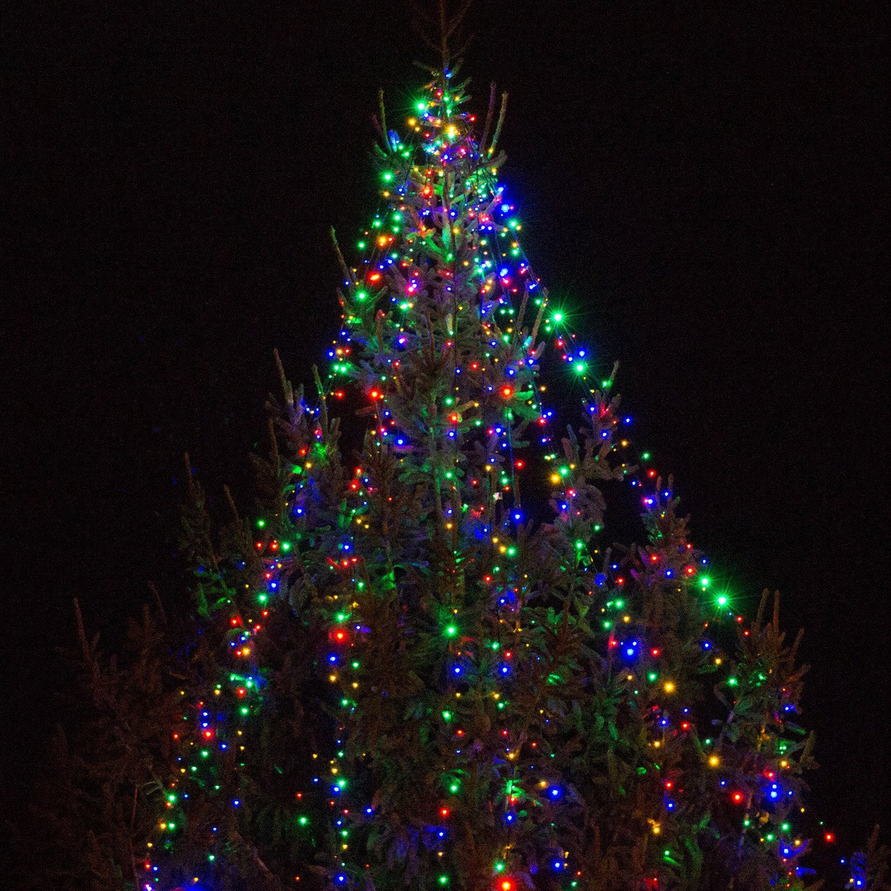 ML100MG_Multi-Coloured-Christmas-Lights-on-Tree_P5_1a7c11ba-45bd-4b8a-b2b2-c4c52e91d6c5.jpg