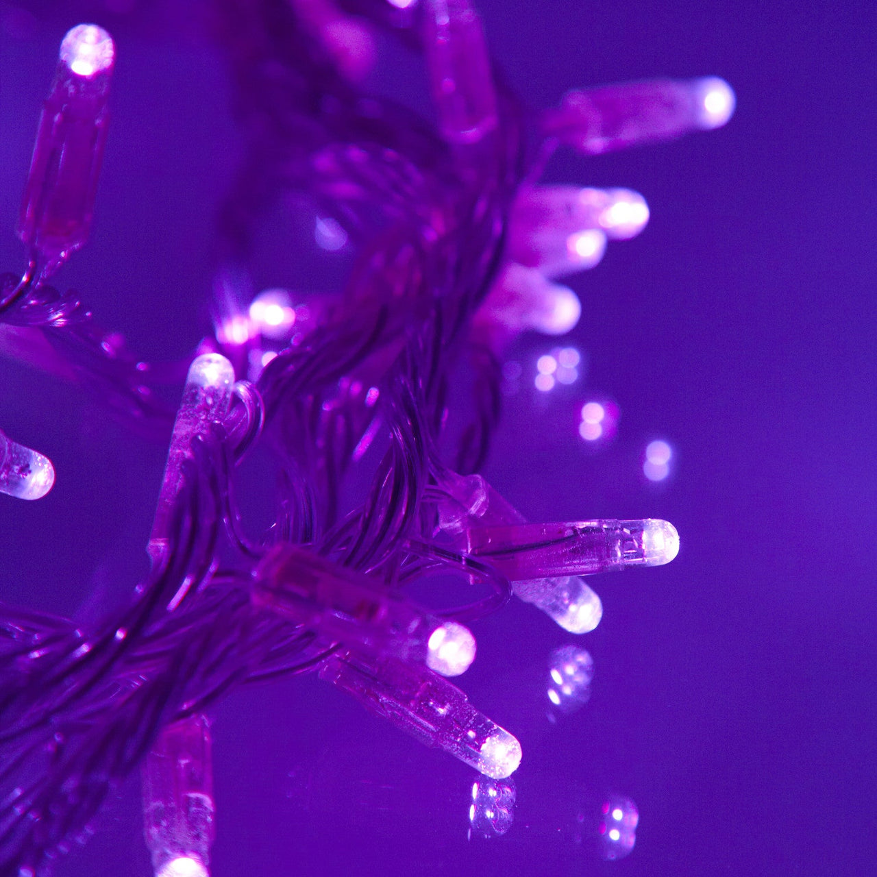 ML100UVC_Ultra-Violet-LED-Halloween-Fairy-Lights_P3.jpg