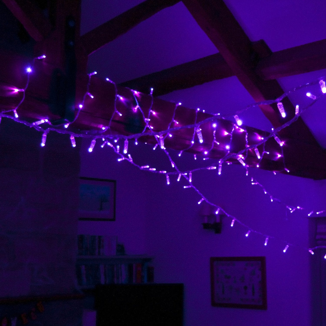 ML100UVC_Ultra-Violet-LED-Halloween-Fairy-Lights_P5_00ac1ea6-0dea-43c6-8d02-ee8cfc56b85f.jpg