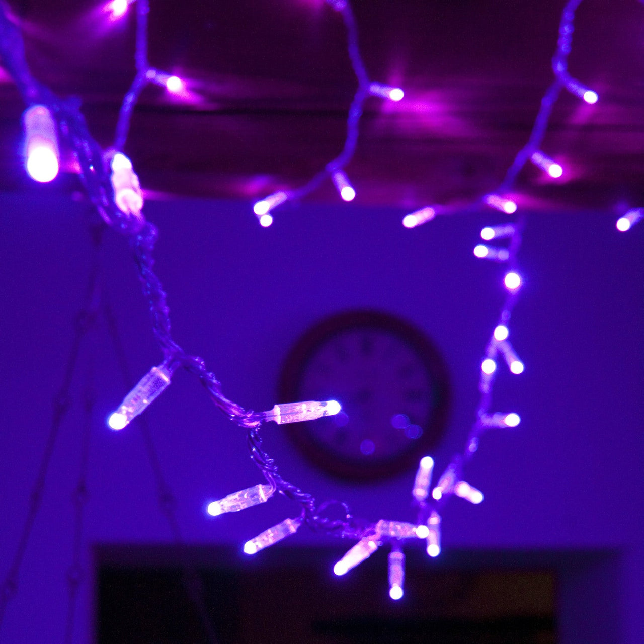 ML100UVC_Ultra-Violet-LED-Halloween-Fairy-Lights_P6.jpg