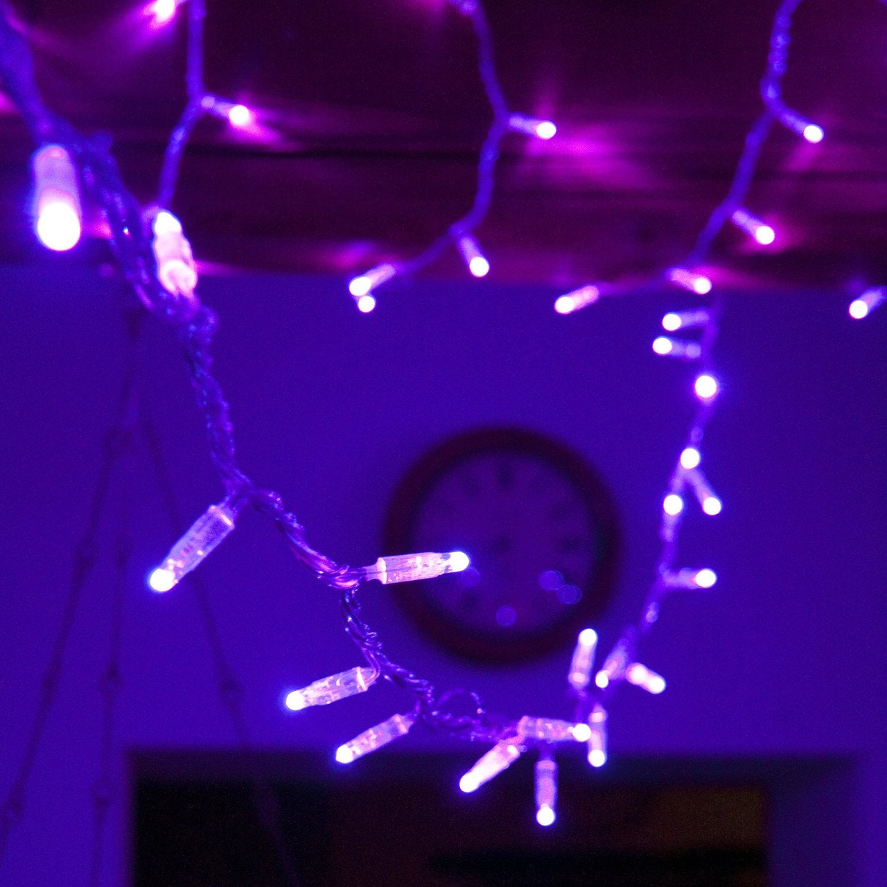 ML100UVC_Ultra-Violet-LED-Halloween-Fairy-Lights_P6_73a106bb-c839-41a9-89d9-a3f7a7589fba.jpg