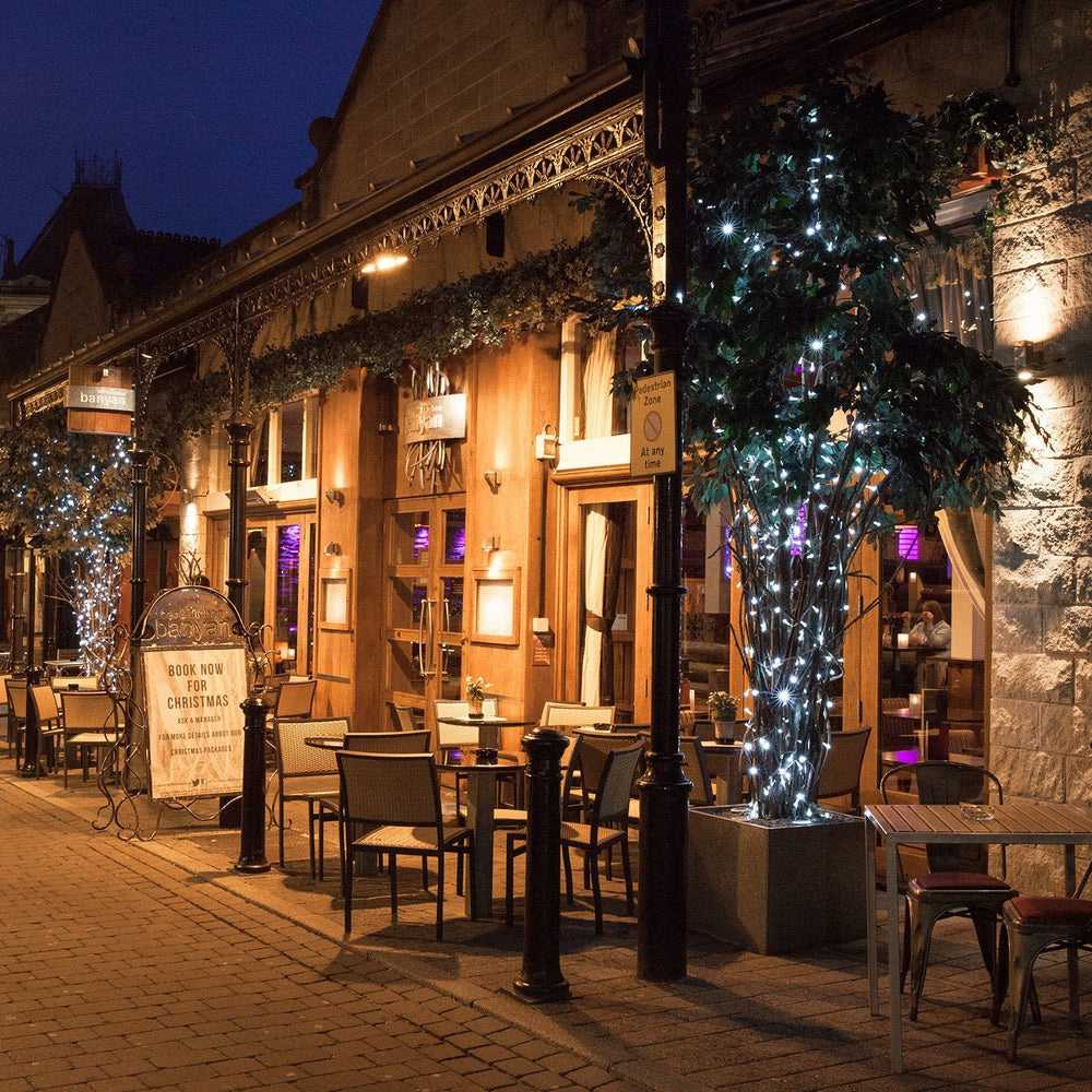 ML100WC_White-Connectable-Christmas-Lights-Banyan-Harrogate_P3_471affce-a6e7-4c18-94e9-d22211238c79.jpg