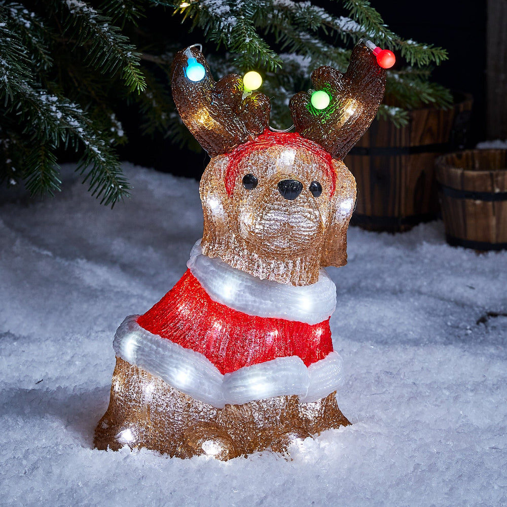 PL21074_Acrylic-Christmas-Dog-Illuminated-Snow-Setting.jpg