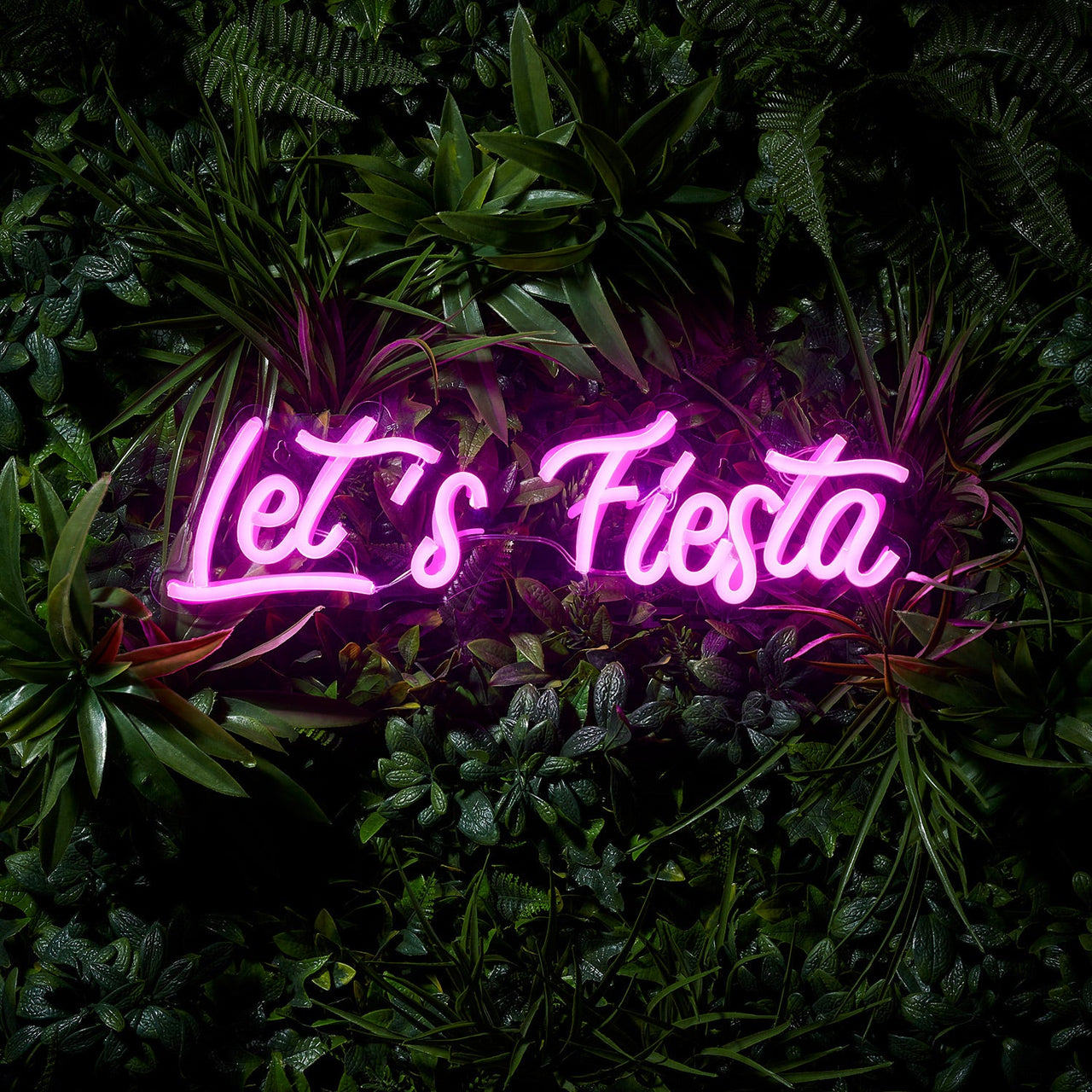 PL22014_Let_s-Fiesta-Neon-Wall-Light-On-Hedge-Wall_P1.jpg