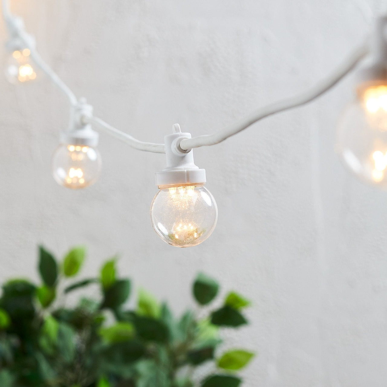 PR10-2YWWC_Pro-Connect-Warm-White-Festoons-Clear-Cap-White-Cable-Illuminated-Close_6652873e-95de-4c3f-8cf2-30a3cc12bcf3.jpg