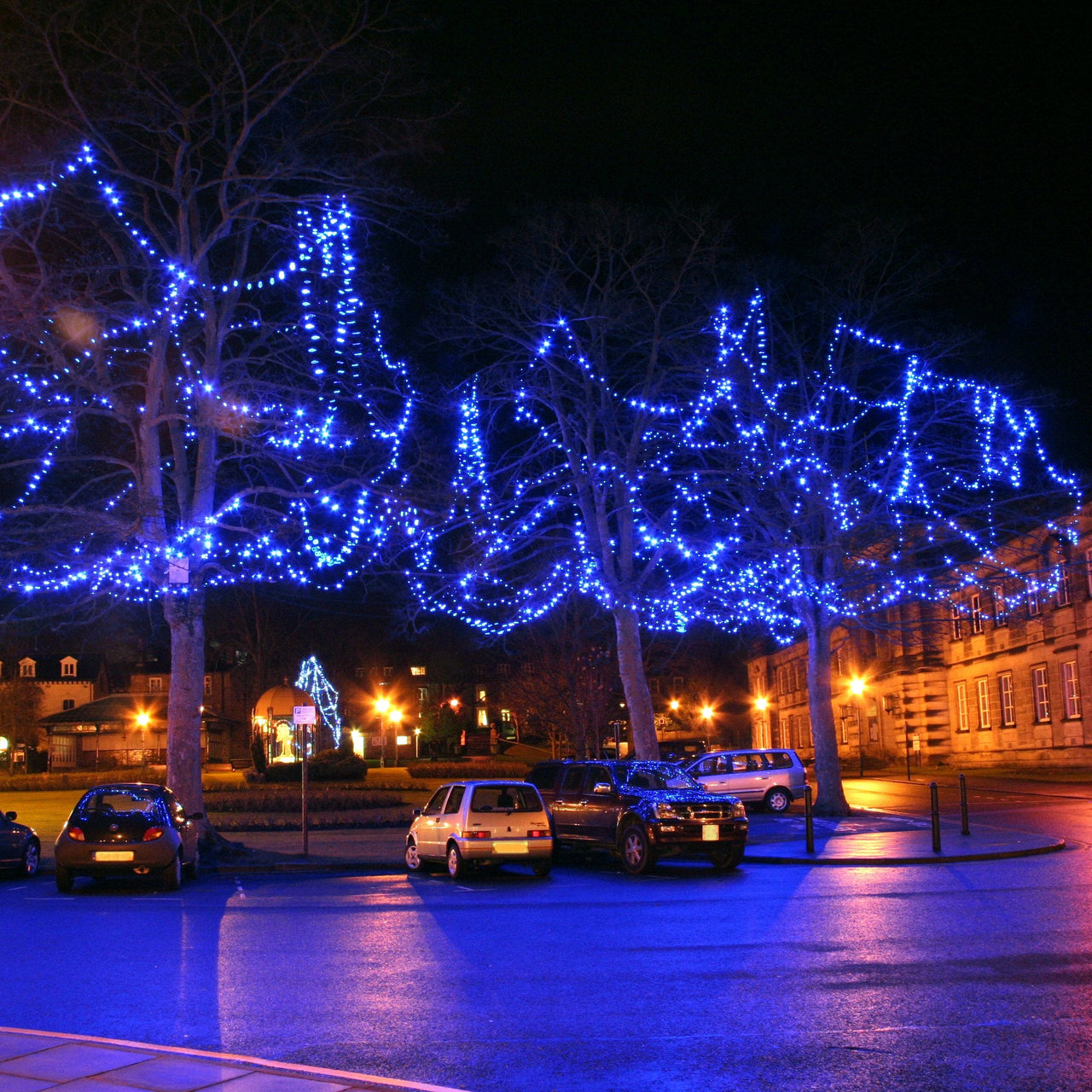 PR50BB_Blue-LED-Christmas-Lights-trees_P4_0df383be-5ce9-4650-917c-7f8b0ad25e1f.jpg